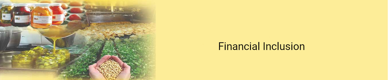 Financial Inclusion